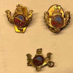 LOT INSIGNES BOUTONNI&Egrave;RES ANCIENS COMBATTANTS  WW1 Union F&eacute;d&eacute;rale