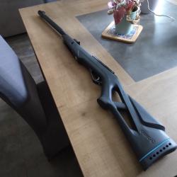 GAMO WHISPER MAXXIM IGT (Piston-Gas ), calibre 4,5 mm, 19,9
