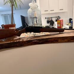 Vend carabine 300 semi-automatique  win mag