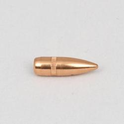 x500 Ogives BT-FMJ CAM PRO cal.222-223 Rem - 3.56g/55gr