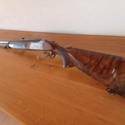 Express Chapuis super orion C10