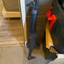 Fusil Sig sauer 543 neutralise