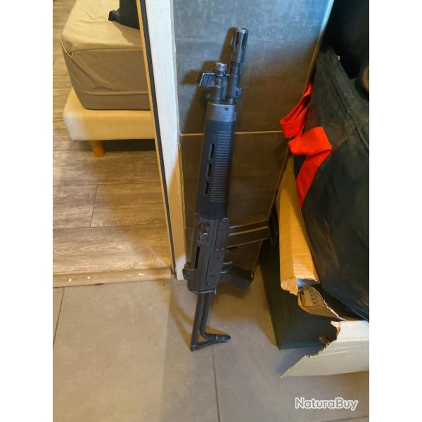 Fusil Sig sauer 543 neutralise