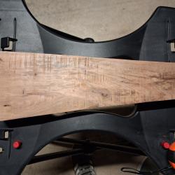 &Eacute;bauche de crosse