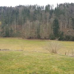 Je recherche une ou deux parts de chasse dans le 68