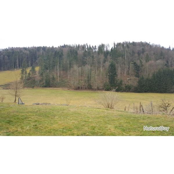 Je recherche une ou deux parts de chasse dans le 68