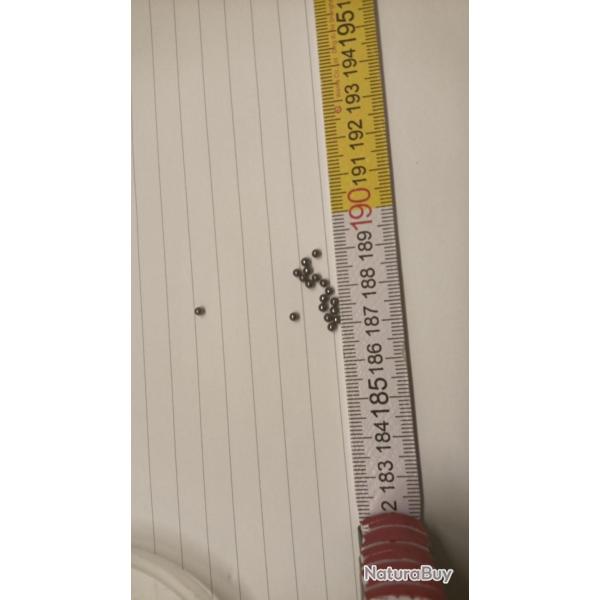 1/2l de plombs de 2mm de diam�tre, soit environ 3500 g