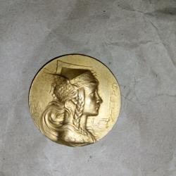 M&eacute;daillon bronze - la Gaulle.