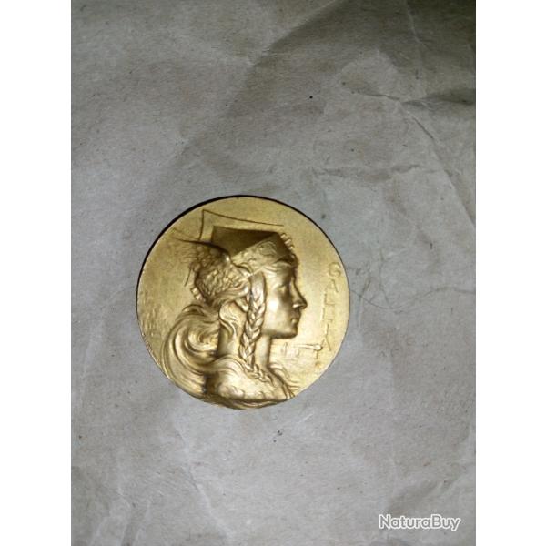 M�daillon bronze - la Gaulle.