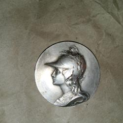 M&eacute;daillon - la Gaulle.