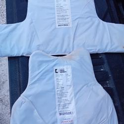 Ench&egrave;re lot de 2 plaques balistiques 3a contre les armes de poings et les lames  MEHLER 53X33 33X33