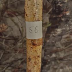 CANNE DE PIRSCH (56)