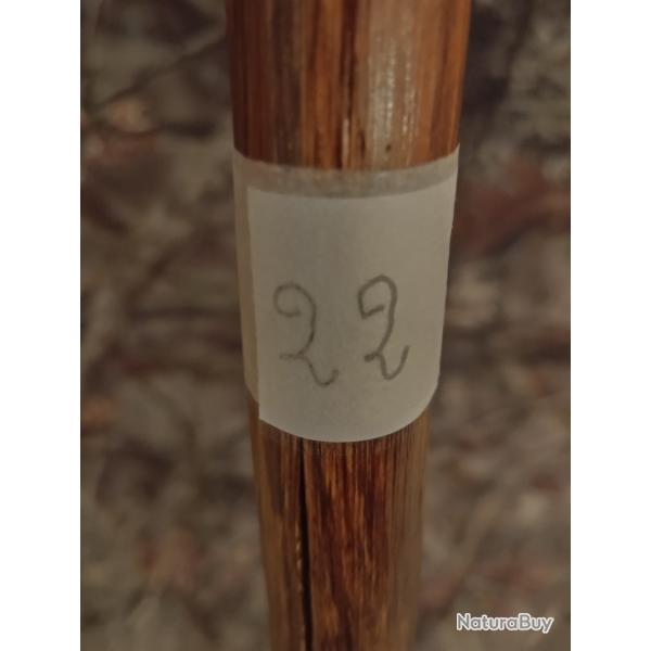 TRES BEAU BATON DE RANDONNEE (22)