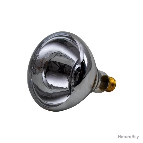 Ampoule infrarouge IR 250 W claire