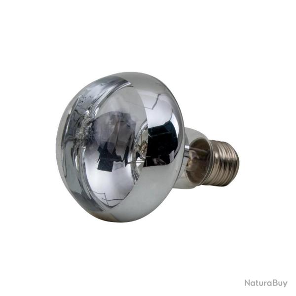 Ampoule infrarouge 100 W claire