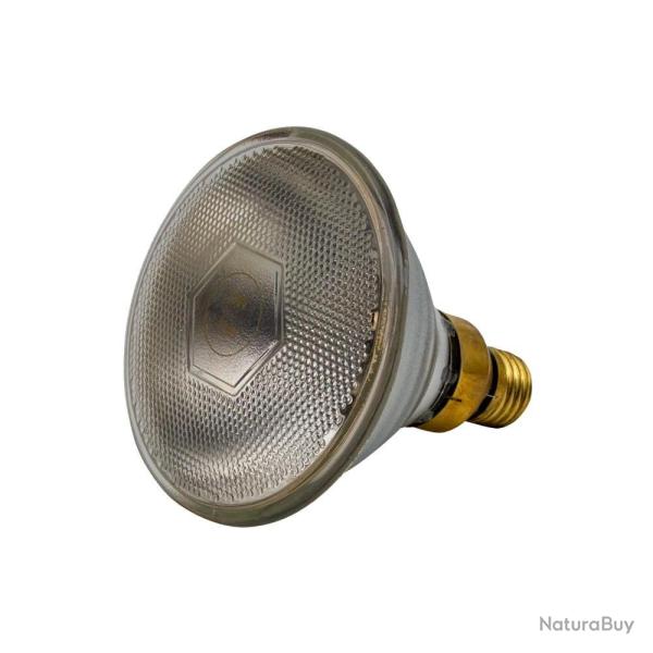 Ampoule infrarouge PAR 100 W claire