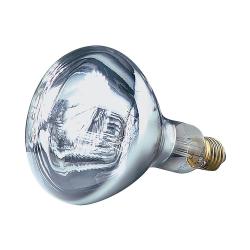 Ampoule Infrarouge Helios 250 W, blanche