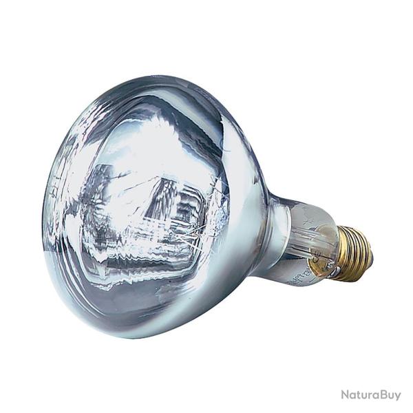 Ampoule Infrarouge Helios 250 W, blanche