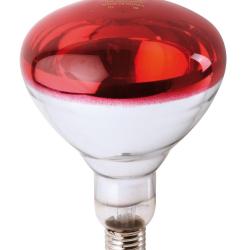 Ampoule PHILIPS IR &agrave; vis rouge 150W