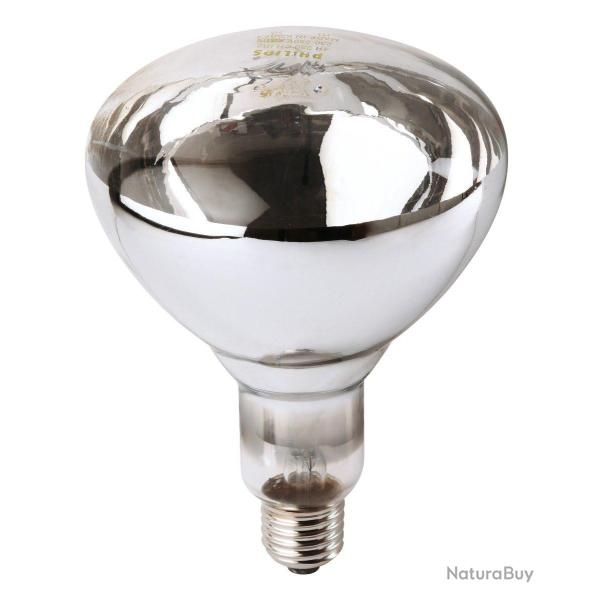 Ampoule PHILIPS IR � vis blanche 250W