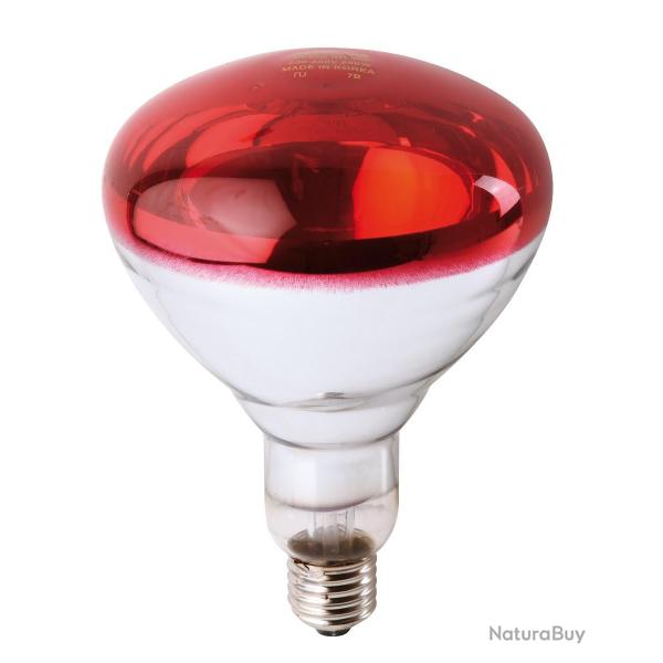 Ampoule PHILIPS IR � vis rouge 250W