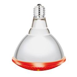 Lot de 2 Lampes IR/PAR vis rouges Interheat 100W