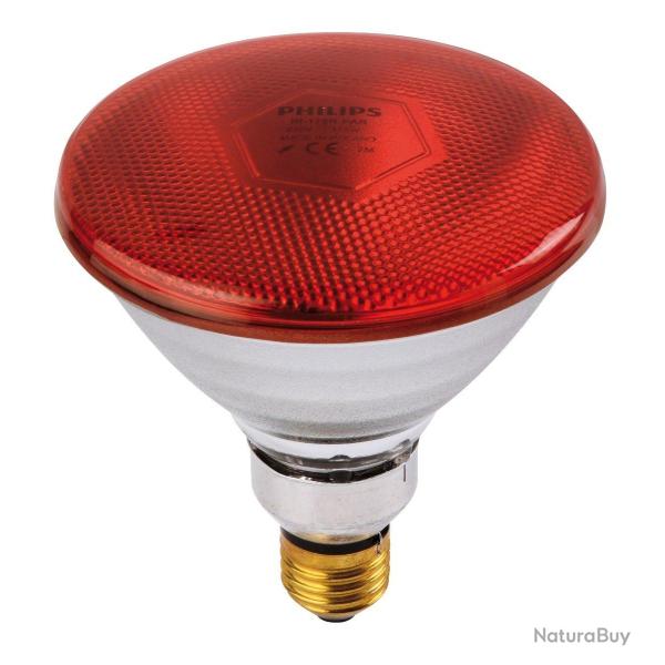 Ampoule PHILIPS IR/PAR rouge 100W