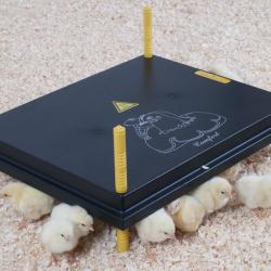 Panneau chauffant pour poussin 40x50 cm