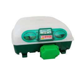 Couveuse automatique 49 oeufs RIVER