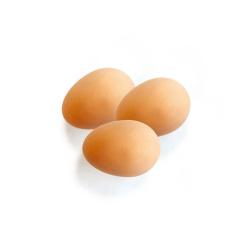 3 oeufs factices en gomme pour poule CHICK'A