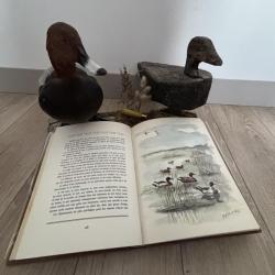 Livre La Chasse au marais - Charles Diguet