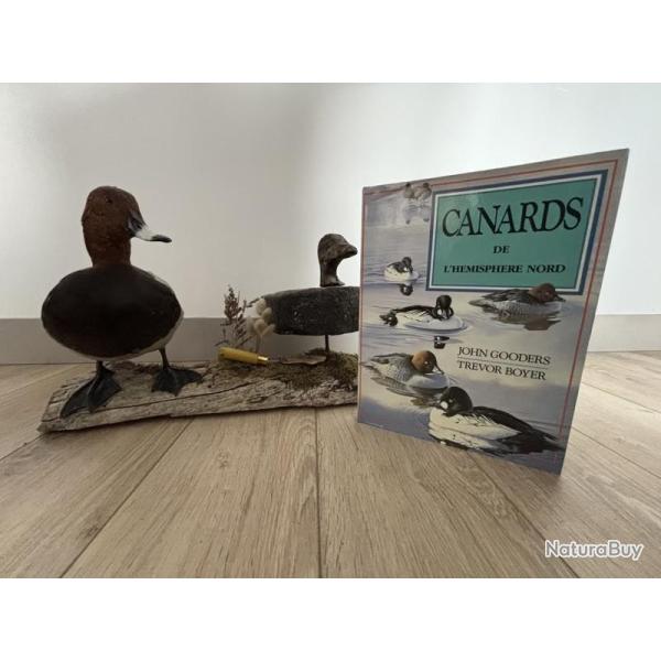 Livre Les canards de l'h�misph�re Nord - Gerfaut 1987