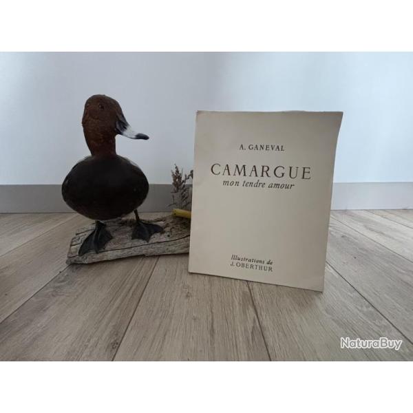 Livre Camargue mon tendre amour - Ganeval