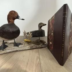 Livre La chasse en punt dans les estuaires - Charles J&eacute;ronnez