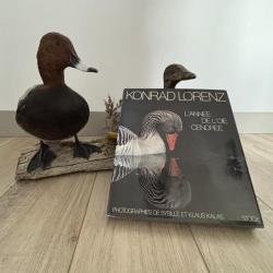 Livre L'ann&eacute;e de l'oie cendr&eacute;e - Konrad Lorenz