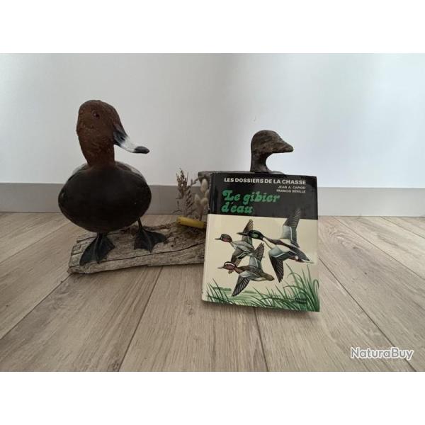 Livre Le gibier d'eau - Capiod & Berille