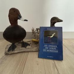 Livre Les oiseaux du Golf du Morbihan - Remy Basque