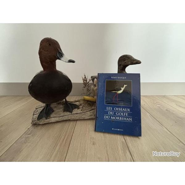 Livre Les oiseaux du Golf du Morbihan - Remy Basque