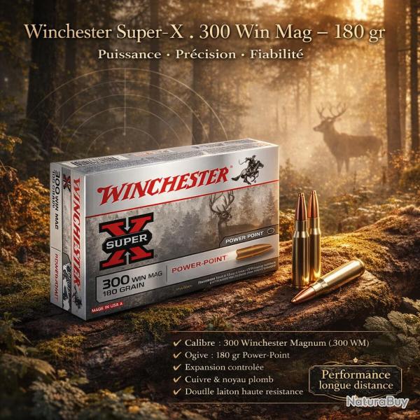Winchester 300wm Power Point 180 gr  2