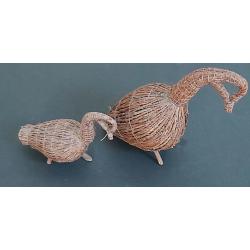 APPELANTS TRADITIONNELS DES CRIS DE LA BAIE JAMES