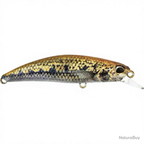 Poisson nageur DUO Spearhead ryuki 60 S ACCZ114 Goujon