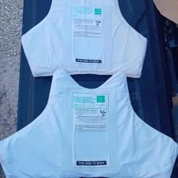 Ench&egrave;re lot de 2 plaques balistiques 3a contre les armes de poings et les lames 47x30 cm et 44x34 cm