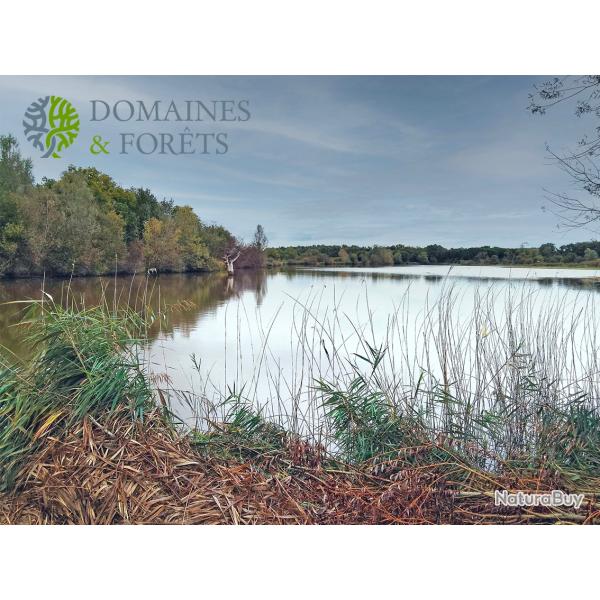 Territoire de chasse, p�che et d'agr�ement dans l'Indre (36) d'environ 18,50 Hectares DF-1151-A