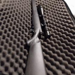 Savage 25 Walking varmint 222 Rem