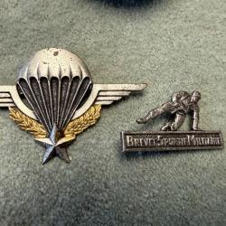 INSIGNES  BREVET PARA ET BREVET SPORTIF  ANCIEN  1960