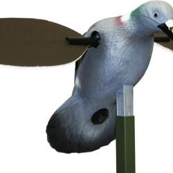 Pigeon &agrave; ailes tournantes Mojo