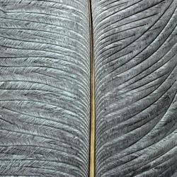 Autruche herls sur tige gris 6