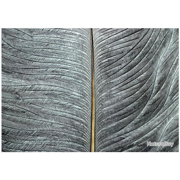 Autruche herls sur tige gris 6