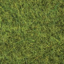 Dubbing &eacute;cureuil olive 7