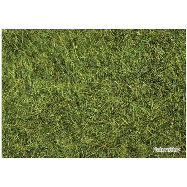 Dubbing �cureuil olive 7